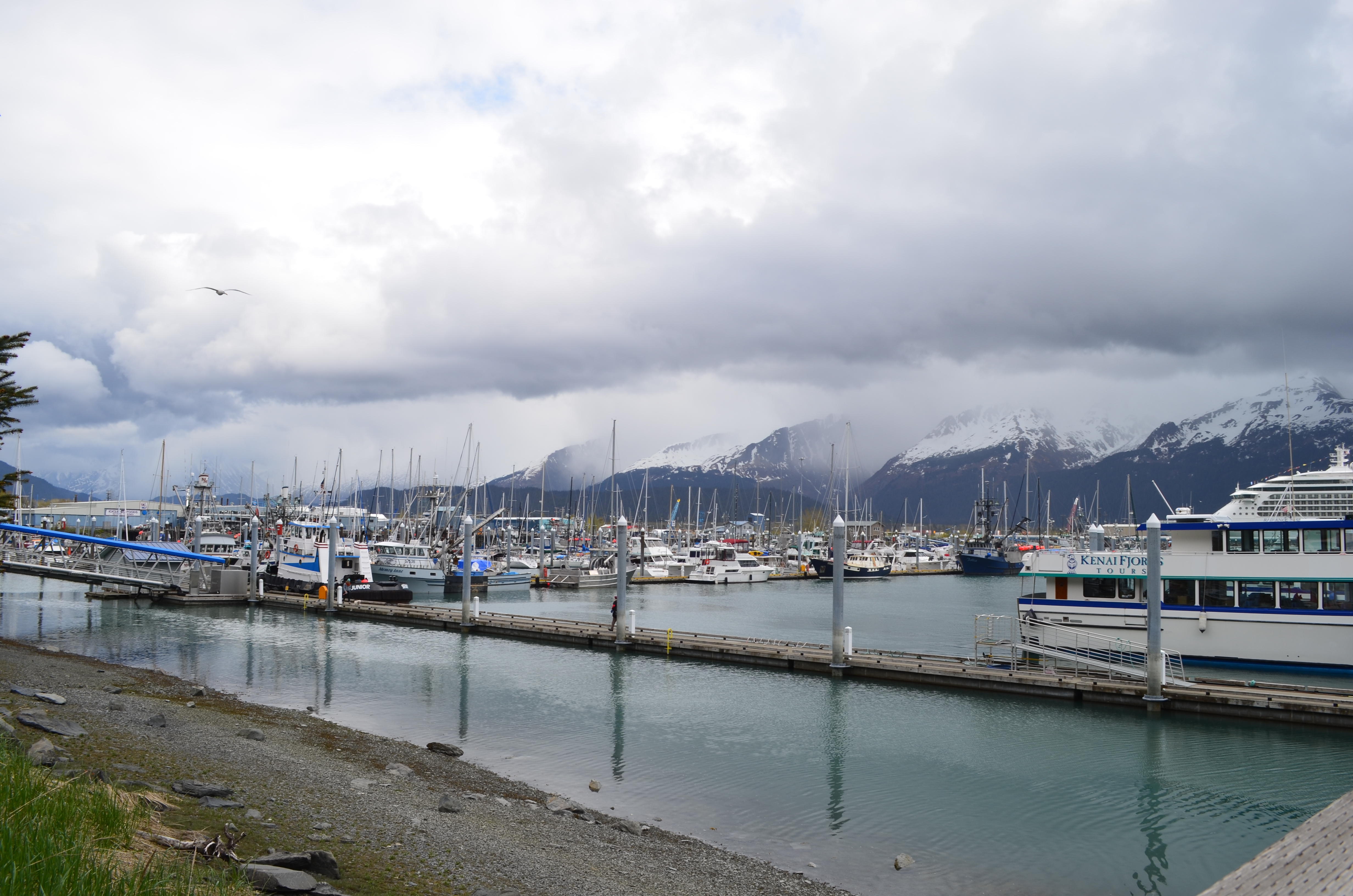 ./2017/08 - Alaska Cruise/06 - Seward/DSC_0618.JPG